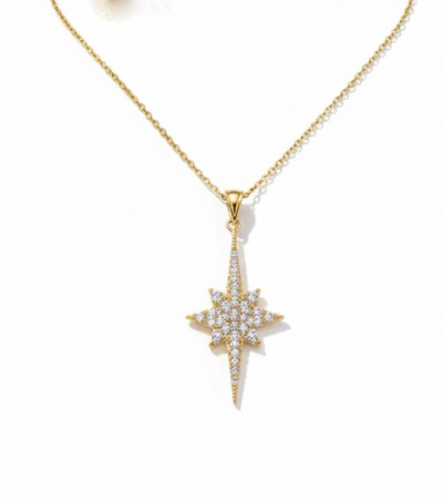 14 Ayar Altın Kutup Yıldızı Kolyesi