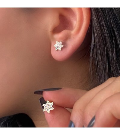 Altın Deniz Yıldızı Küpe